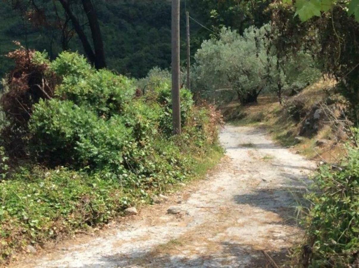 Holiday Home Dionysis Chorefton Bagian luar foto
